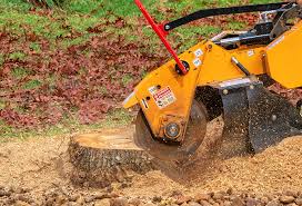 Best Lawn Drainage Solutions  in Sleepy Hollow, IL